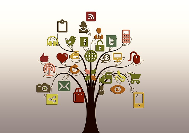 clases de community manager para emprendedores