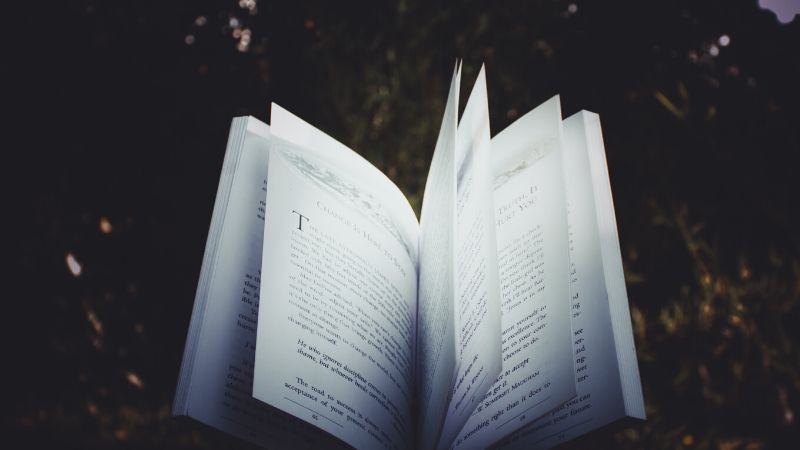 Poesía